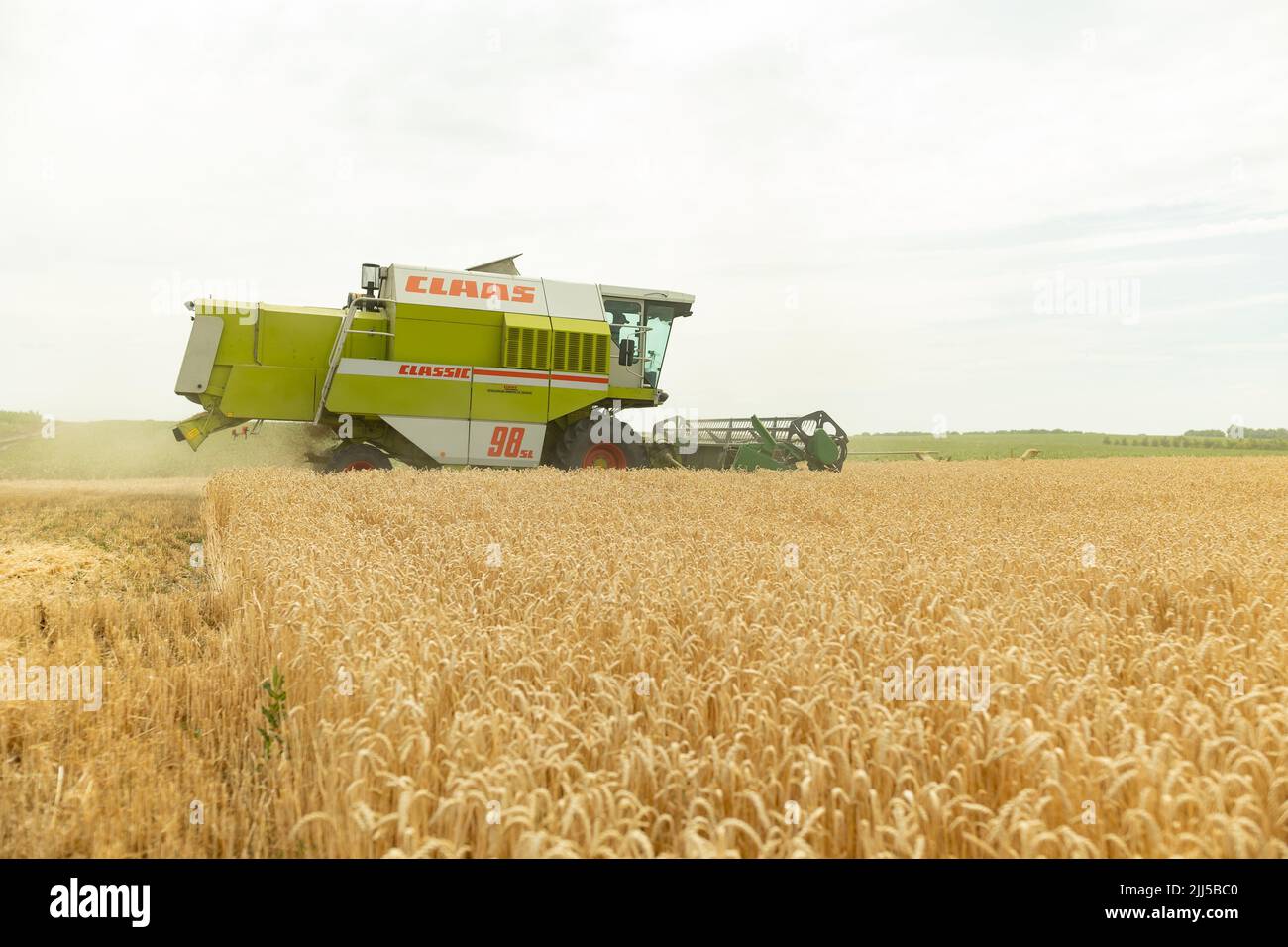 Ukraine, Vartekivtsi, 19 juillet 2022. La moissonneuse-batteuse récolte du blé mûr. Des oreilles mûres de champ d'or sur le coucher de soleil ciel nuageux orange fond. . Conc Banque D'Images