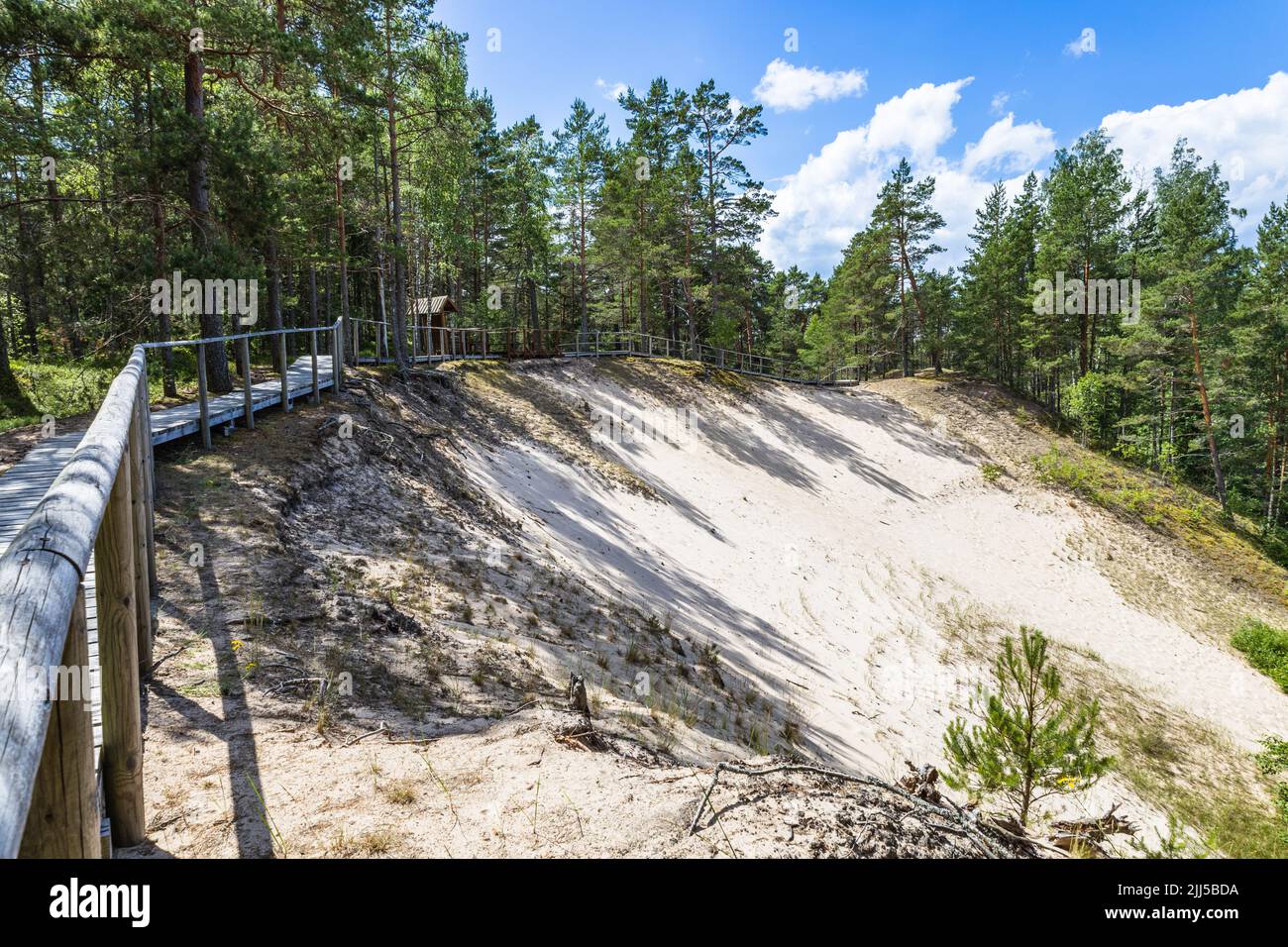 Dune blanche ou Balta kapa près de la mer Baltique en Lettonie Banque D'Images