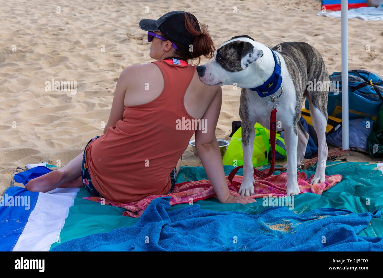 Branksome Dene Chine, Poole, Dorset, Royaume-Uni. 23rd juillet 2022. Le festival britannique des maîtres-chiens des championnats de surf, organisé par Shaka Surf, a lieu sur la plage Branksome Dene Chine. Le seul concours de surf pour canines de Britains, maintenant dans sa quatrième année, est plus grand que jamais, avec 30 concurrents canins inscrits pour une course de paddleboard à rythme rapide, ainsi que le concours de déguisement de looklookFancy de propriétaire de chien, Mutts Market, Paw Inn Beach bar, spectacle de chiens, nourriture et plus, avec des concerts en soirée. Crédit : Carolyn Jenkins/Alay Live News Banque D'Images