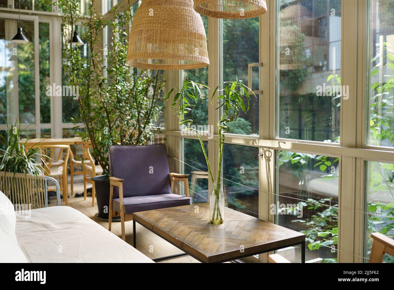 Intérieur naturel séjour. Chambre vide bien éclairée avec meubles en bois et beaucoup de plantes vertes Banque D'Images