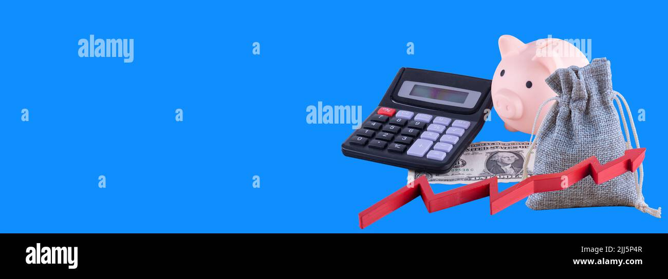 Pink piggy banque, dollar, calculatrice et un sac contre fond bleu épargne et prêt crise d'épargne l'argent est la clé de l'indépendance financière Banque D'Images