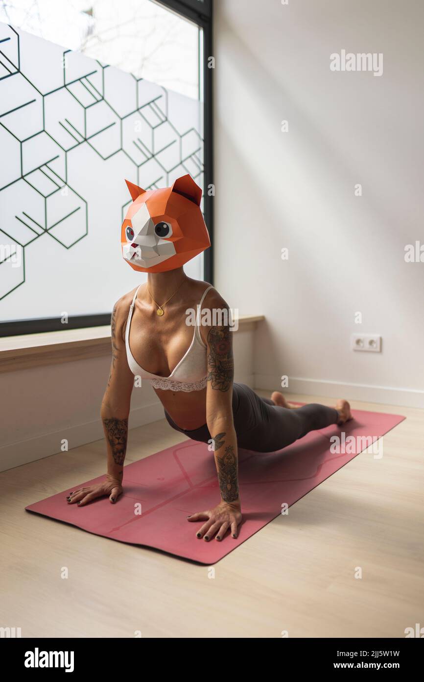 Femme portant un masque animal pratiquant le yoga sur un tapis en studio Banque D'Images