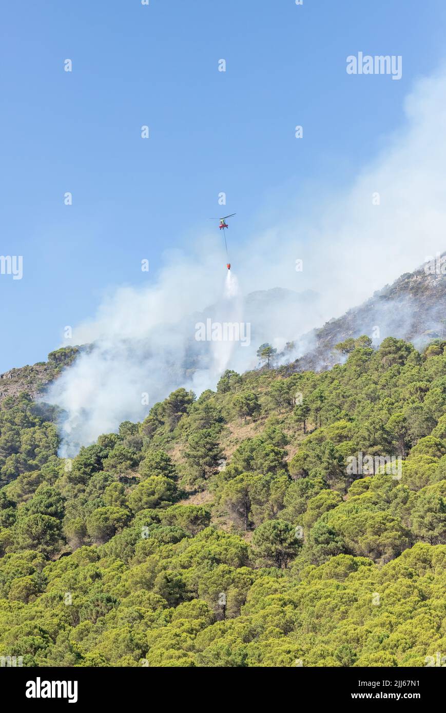 Hélicoptère larguer de l'eau en cascade sur le feu dans la Sierra de Mijas. Montagnes avec forêt de pins en feu et fumée. Banque D'Images