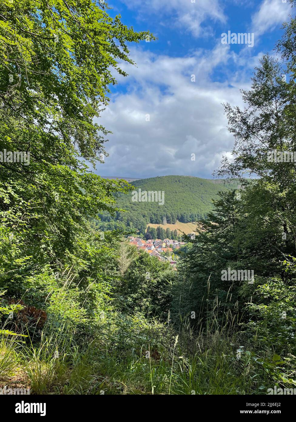 10 juillet 2022, Basse-Saxe, Herzberg/OT Lonau: La vue de foin de la station climatique de santé Lonau dans le Haut-Harz. Le village dit Dead-end est un point de départ populaire pour les randonnées dans les montagnes de Harz en été. Photo: Soeren Stache/dpa Banque D'Images