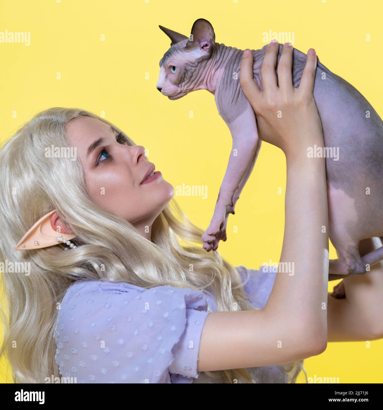 Cosplayer elf jeune femme blonde en bleu robe d'été avec de beaux cheveux longs et des perles dans son oreille regarde affectueusement le chaton de Sphinx Banque D'Images