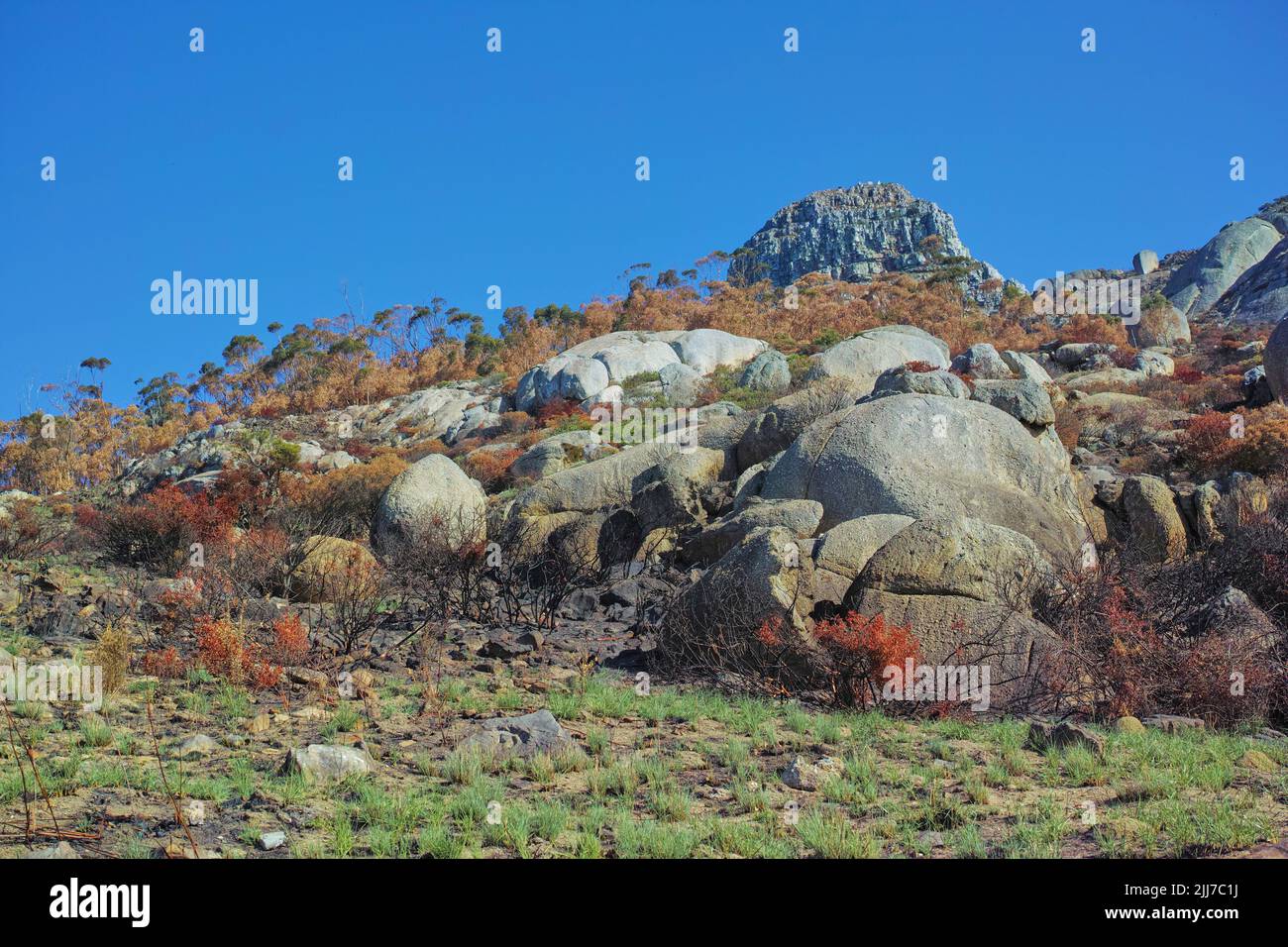 Grande montagne et grands rochers dans de belles herbes sauvages vertes et brunes et arbres avec ciel bleu en arrière-plan. Paysage de montagne et de rochers Banque D'Images