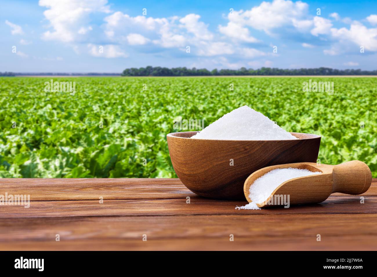 sucre blanc dans un bol et cuillère sur la table avec le champ vert Banque D'Images