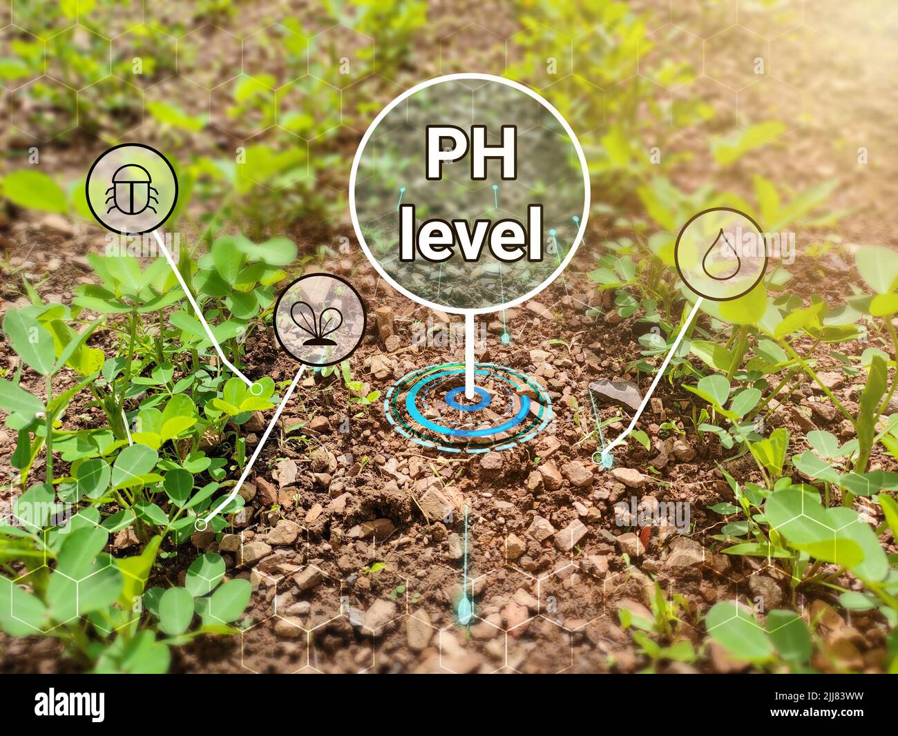 afficher le niveau de ph dans le champ agricole. concept d'utilisation de la plate-forme numérique dans l'exploitation. Banque D'Images