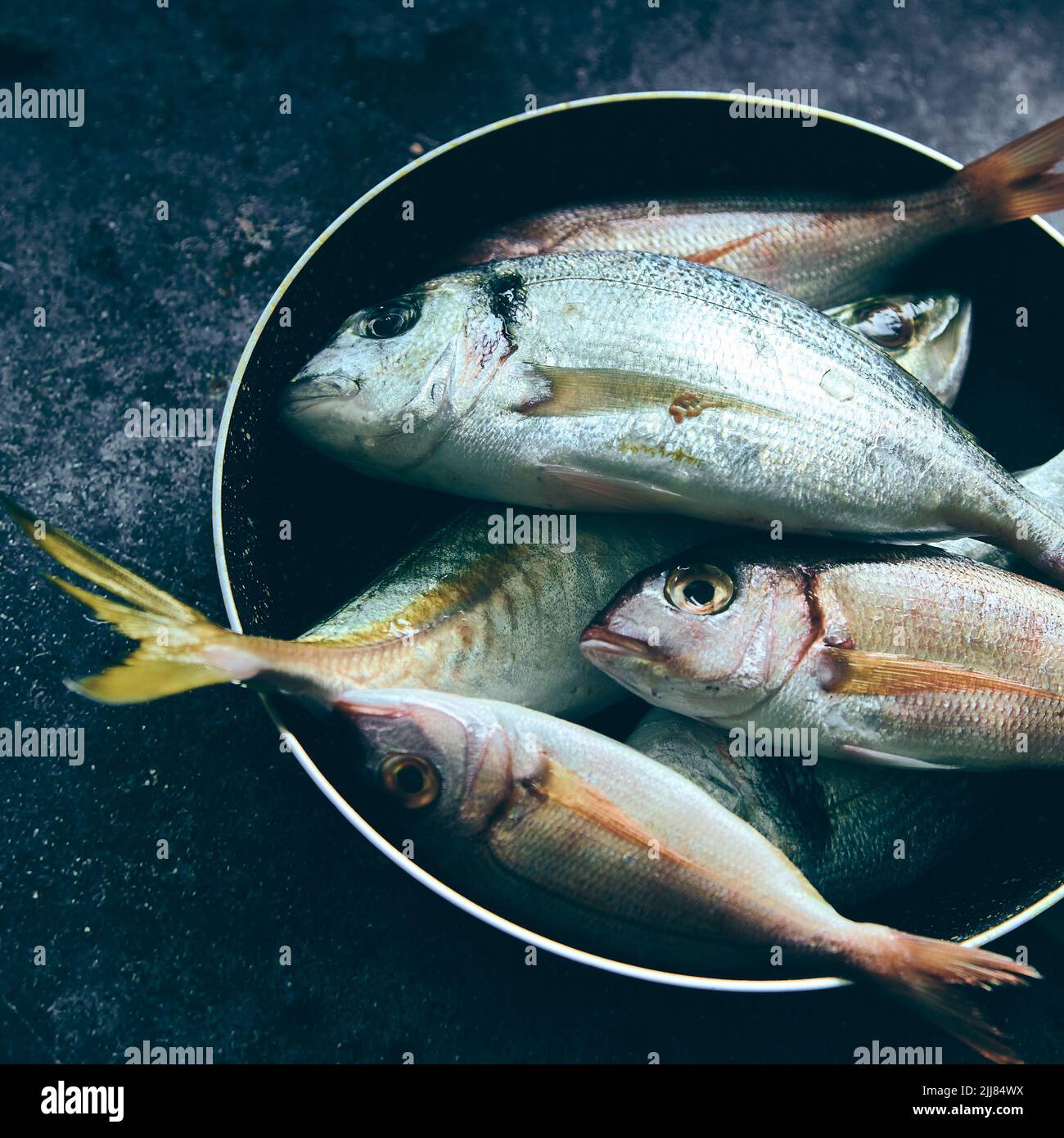 De la pile ci-dessus de poisson cru savoureux placé dans une marmite en métal sur fond gris dans la salle de lumière pendant la préparation de la cuisson Banque D'Images
