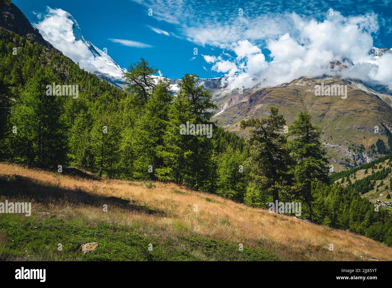 Paysages alpins fantastiques avec haut sommet de Cervin et des larches vertes près de Zermatt, Suisse, Europe Banque D'Images