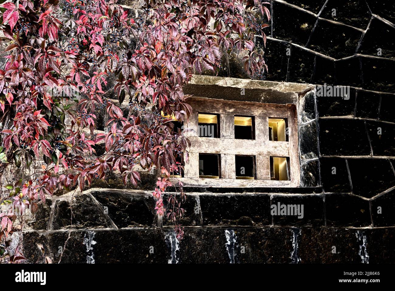 Traitement artistique de l'image créé à partir de la photo de mur de pierre avec fenêtre et tiges de raisins caillés Banque D'Images