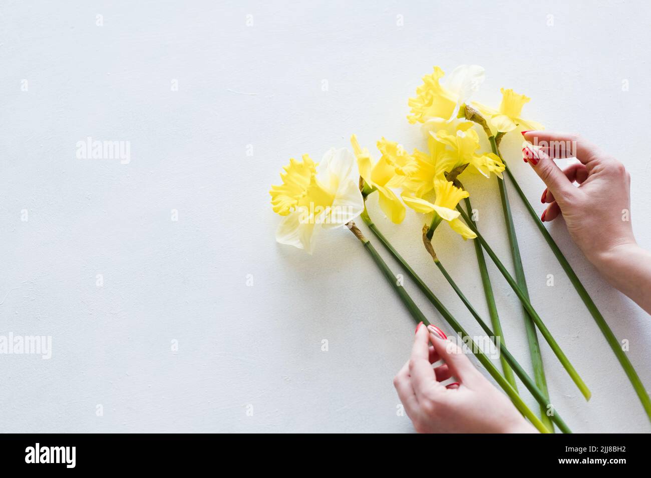 composition florale narcissus bouquet Banque D'Images