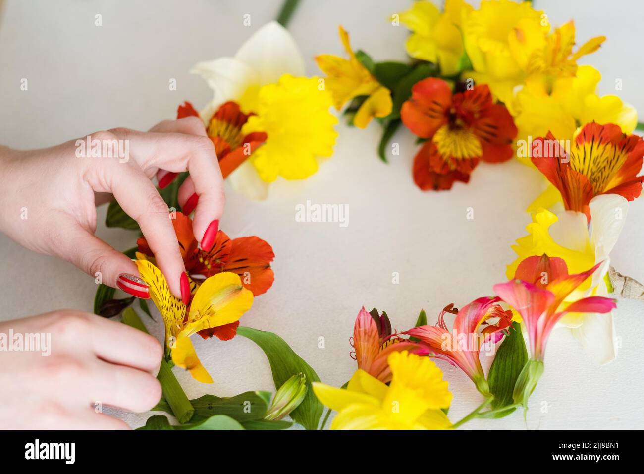 couronne de fleurs fond blanc arrangement floral Banque D'Images