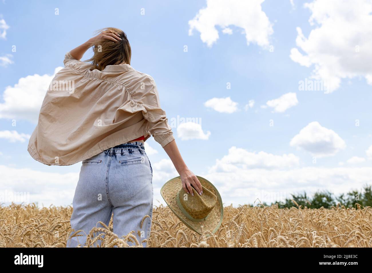 femme posant dans un champ de blé en été. Femme tenant un chapeau dans sa main contre le fond d'un champ de blé d'or. La vue de l'arrière. Banque D'Images