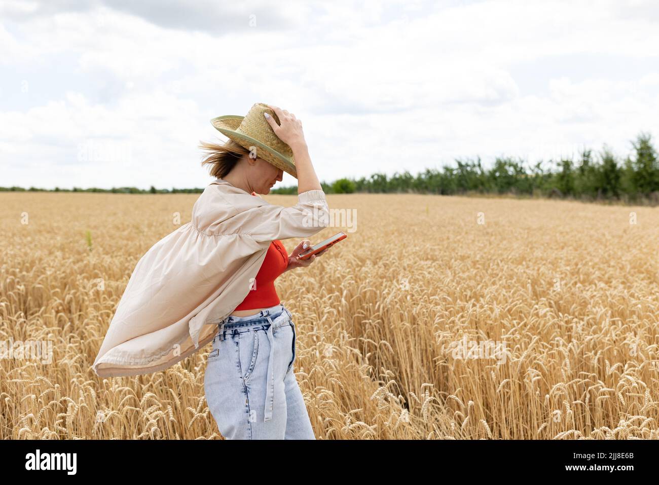Photo d'une femme en chapeau de paille regardant sur le téléphone portable tout en marchant sur le champ de blé d'or le jour d'été Banque D'Images