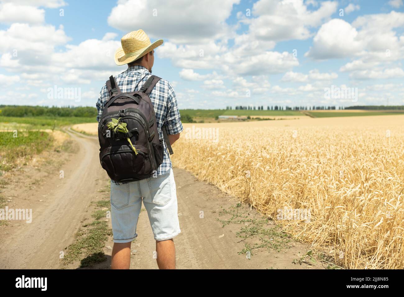 Vue arrière d'un jeune touriste portant un short bleu et un chapeau avec un grand sac à dos de voyage. Homme marchant dans la campagne le long d'une route de campagne et d'une whea Banque D'Images