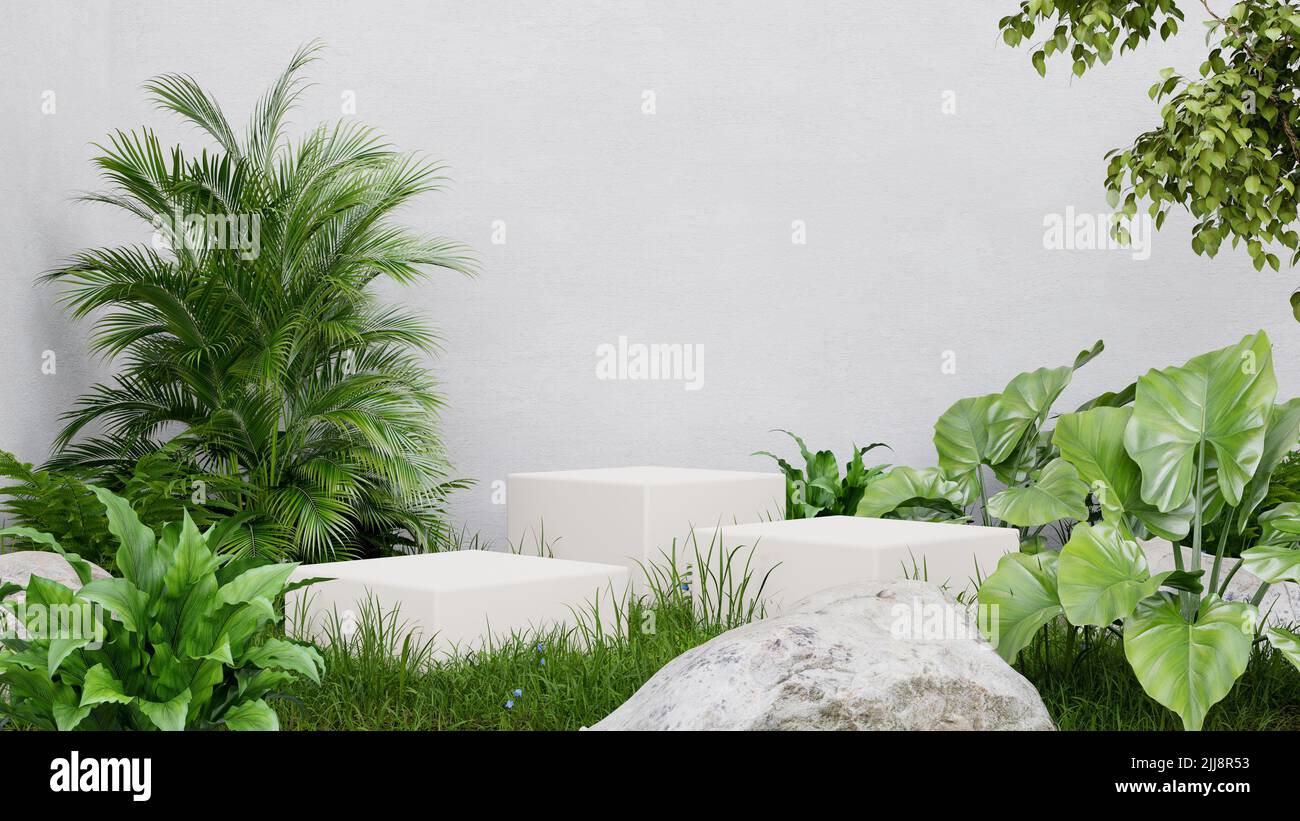 Socle cube blanc dans la forêt tropicale pour la présentation du produit et le rendu de mur de plâtre blanc.3D Banque D'Images