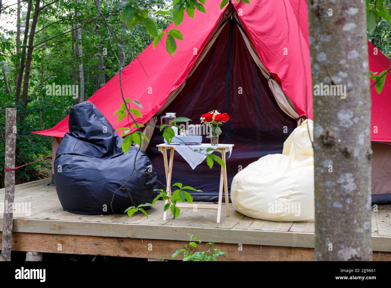 Photo du glamour dans la forêt en été Banque D'Images