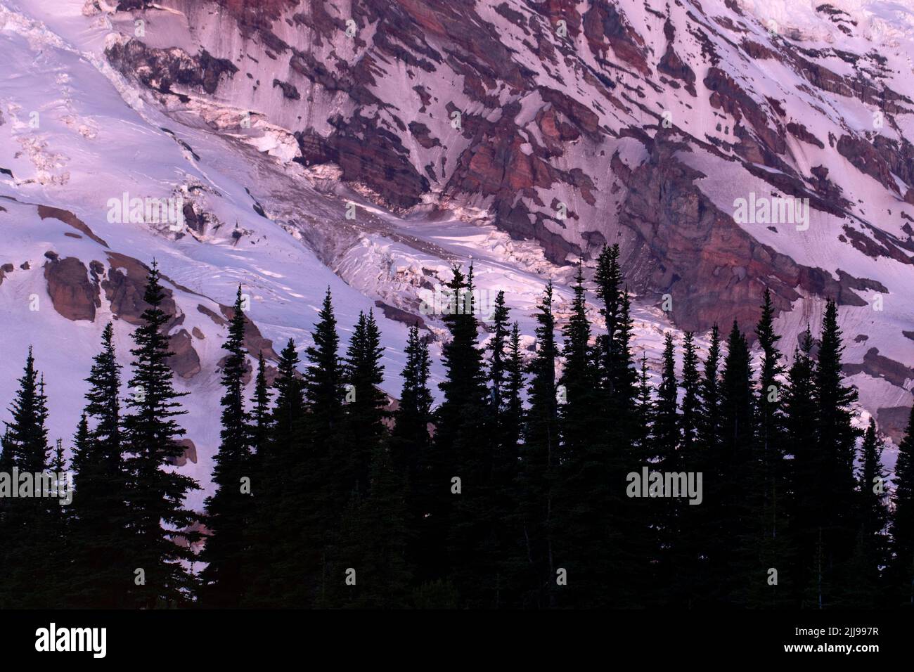 Mt Rainier Dawn from Sunrise, Parc national du Mont Rainier, Washington Banque D'Images