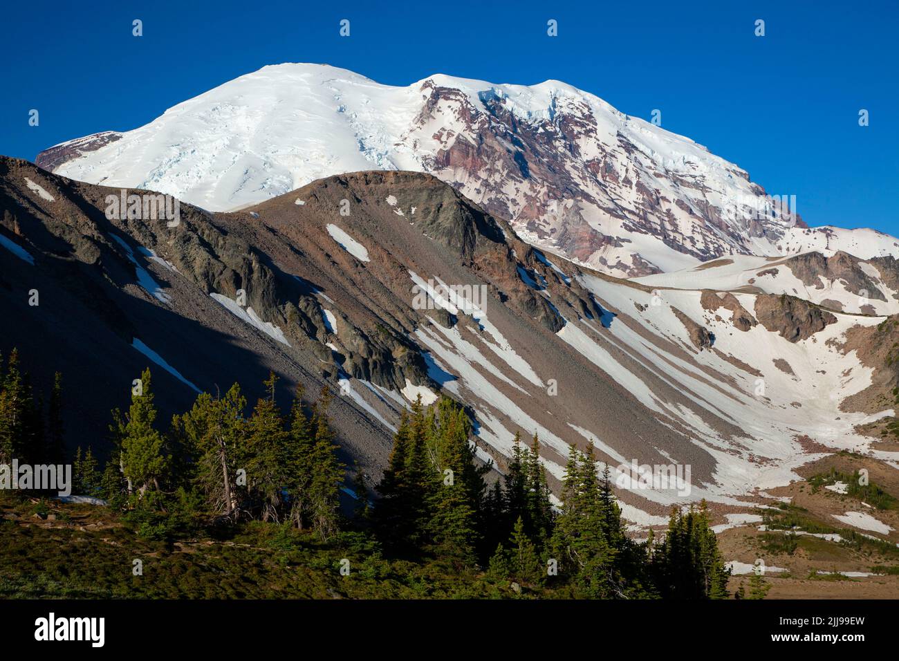 Mt Rainier de Wonderland Trail, parc national de Mt Rainier, Washington Banque D'Images