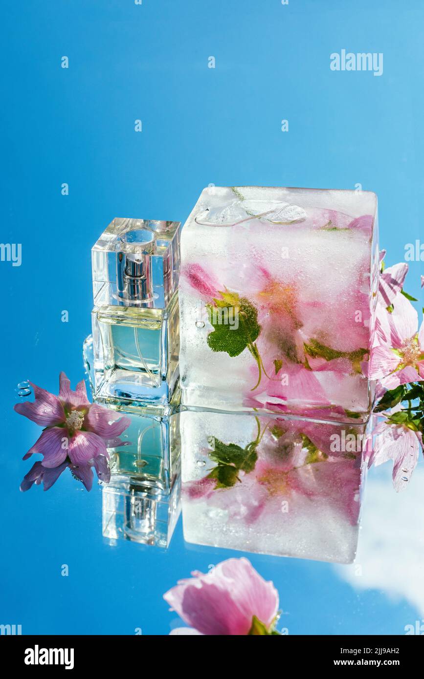 Une bouteille rectangulaire en verre de parfum se trouve sur un miroir avec un décor de fleurs surgelées en gros plan Banque D'Images