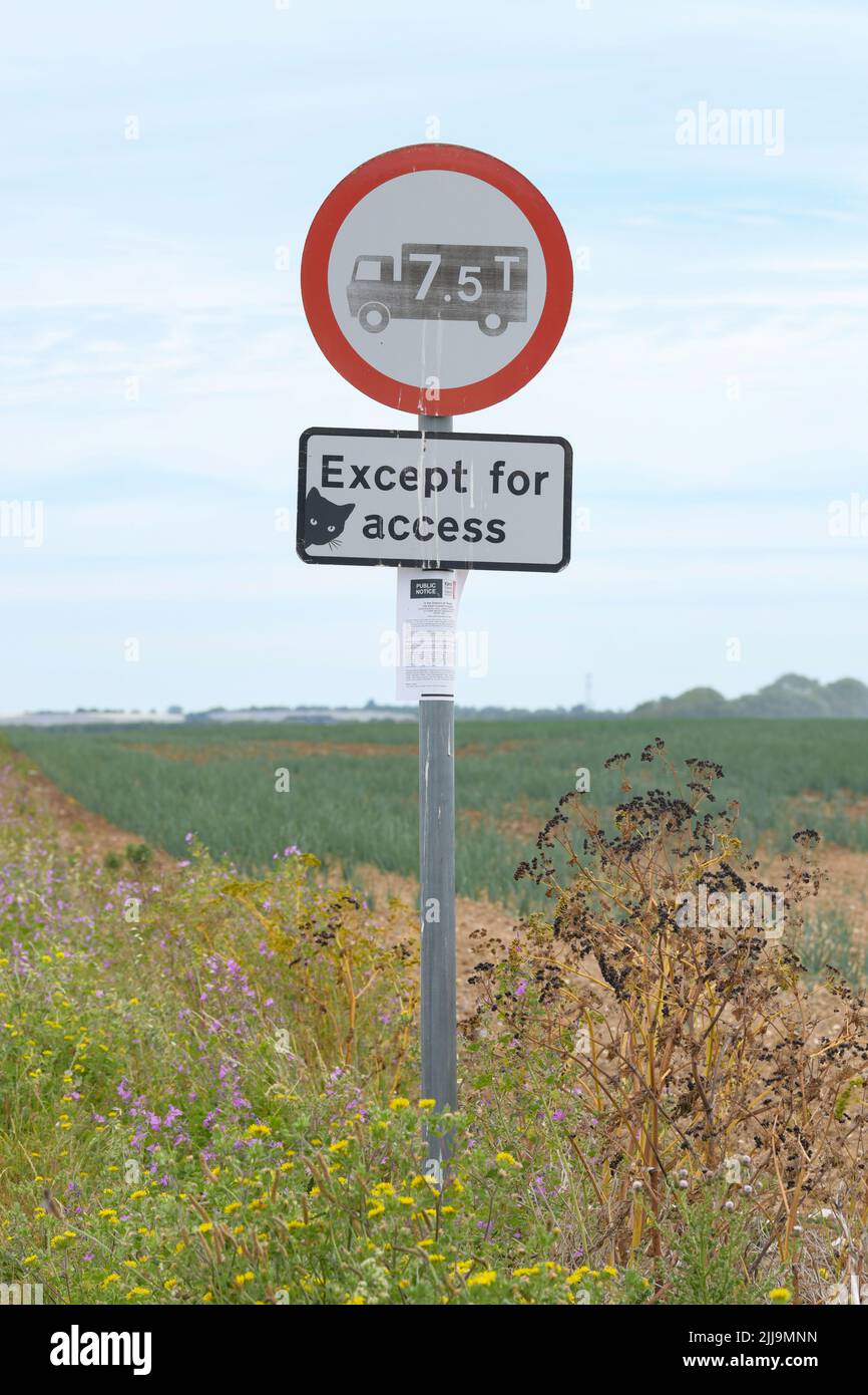 Autocollant chat noir sur le panneau de route à Kent, Angleterre, Royaume-Uni Banque D'Images