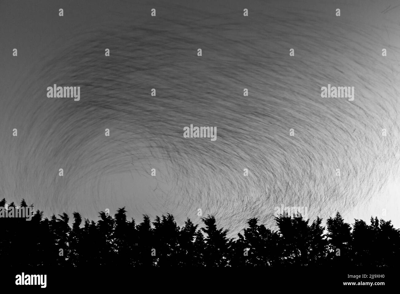 Étourneau sansonnet Sturnus vulgaris, troupeau, arrivant à roost site, Weston-Super-Mare, Somerset, UK, Janvier Banque D'Images