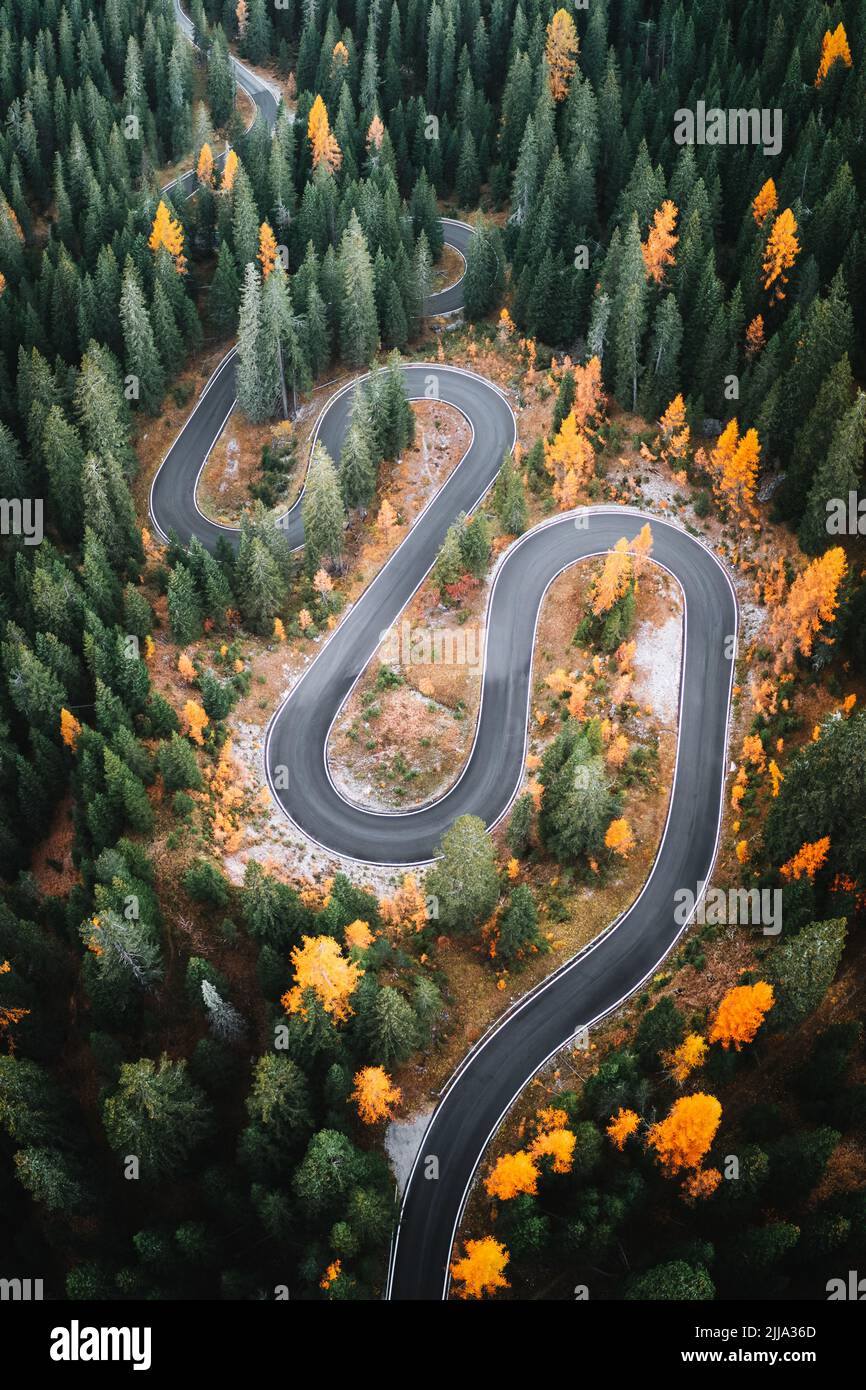 Vue aérienne sur la célèbre route de Snake près de Passo Giau dans les Alpes Dolomites.Route sinueuse de montagnes dans une forêt luxuriante avec des mélèzes d'orange et de l'épinette verte en automne.Dolomites, Italie Banque D'Images