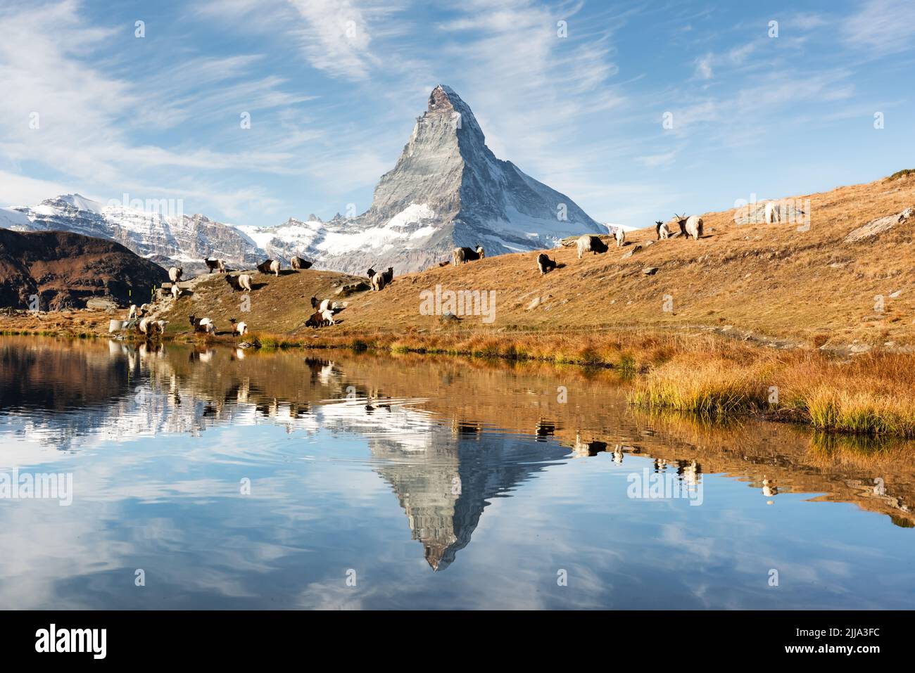 vue-pittoresque-du-mont-cervino-cervin-et-de-la-prairie-pr-s-du-lac