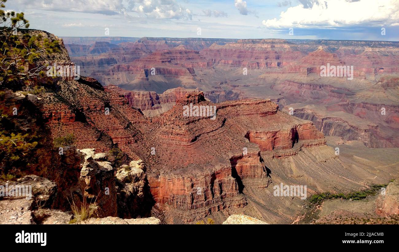 Vue aérienne du parc national du Grand Canyon, plateau nord en plein jour Banque D'Images