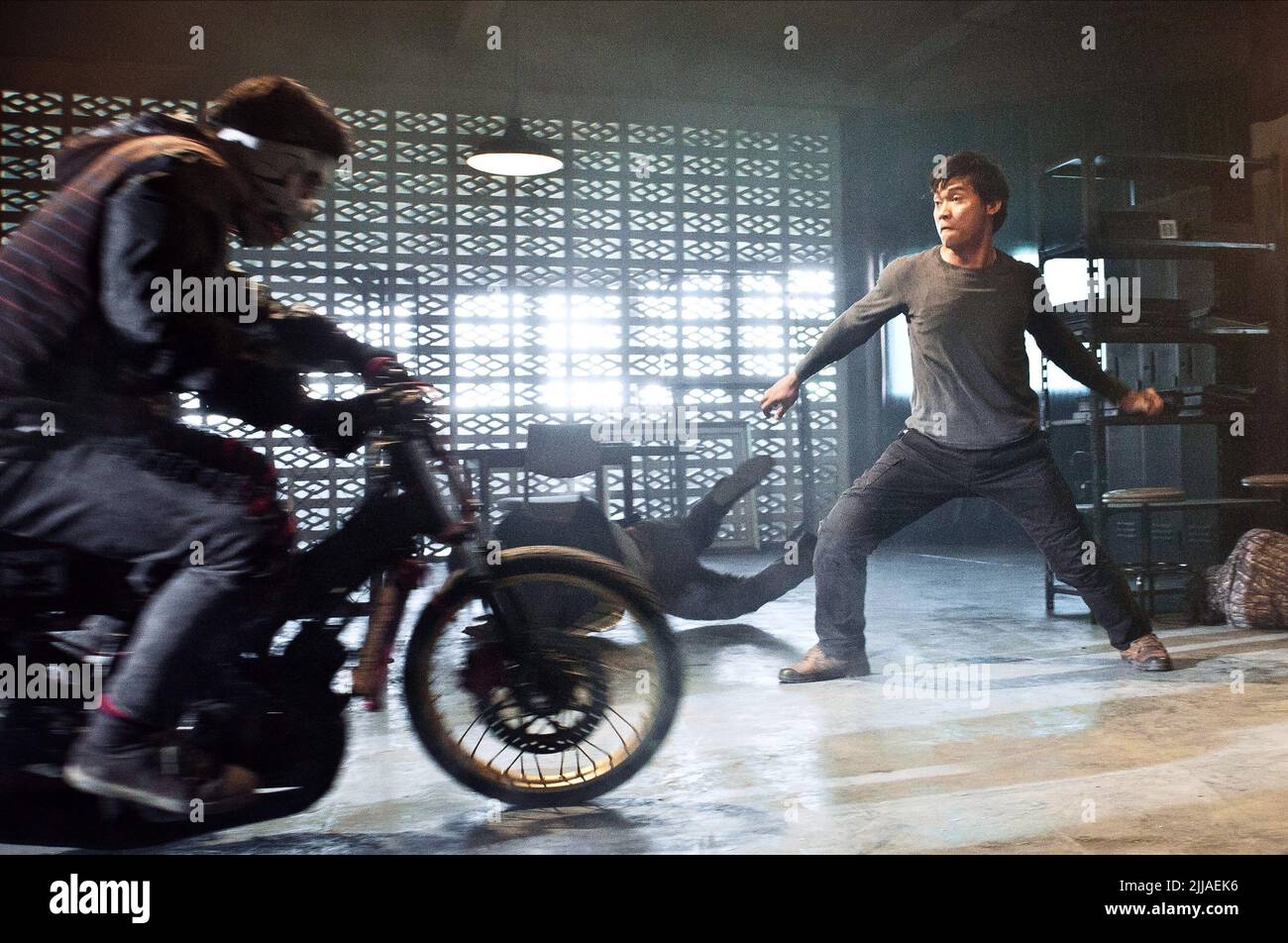 TONY JAA, GUERRIER ROI 2, 2013 Banque D'Images