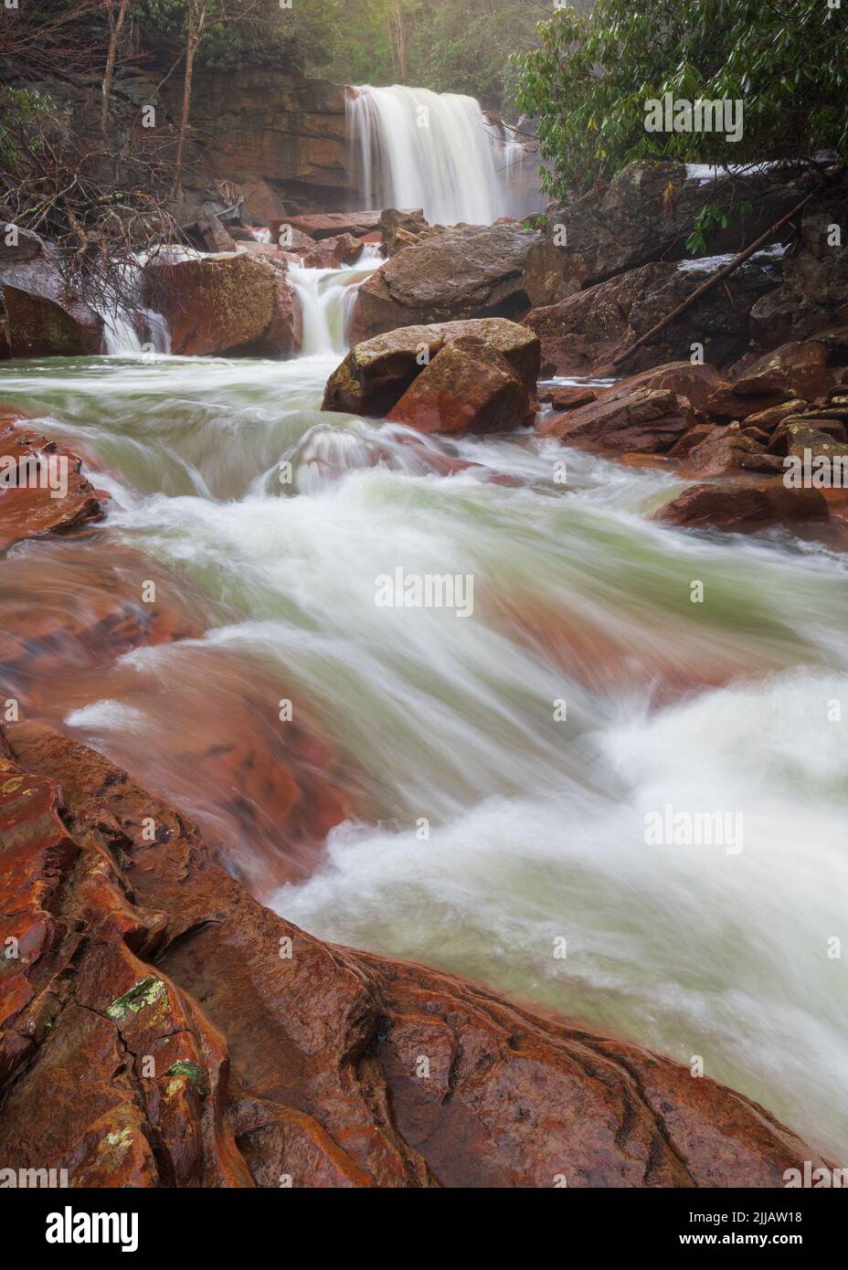 Rapides et chute d'eau de la rivière Blackwater près de Thomas, Virginie-Occidentale Banque D'Images