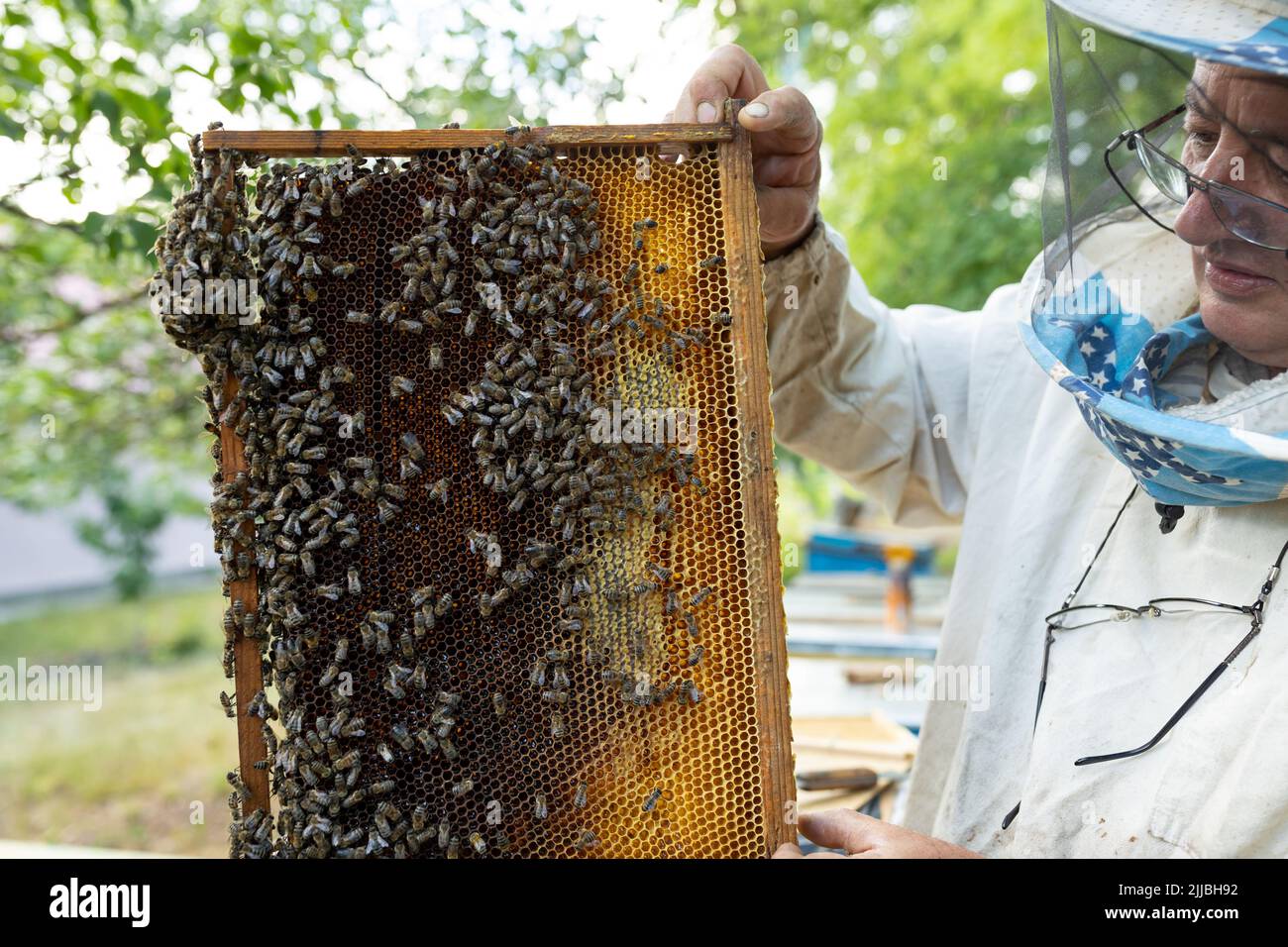 un apiculteur inspectant ses ruches. beaucoup d'abeilles en nid d'abeille. Gardien à la recherche d'un grand lit Banque D'Images