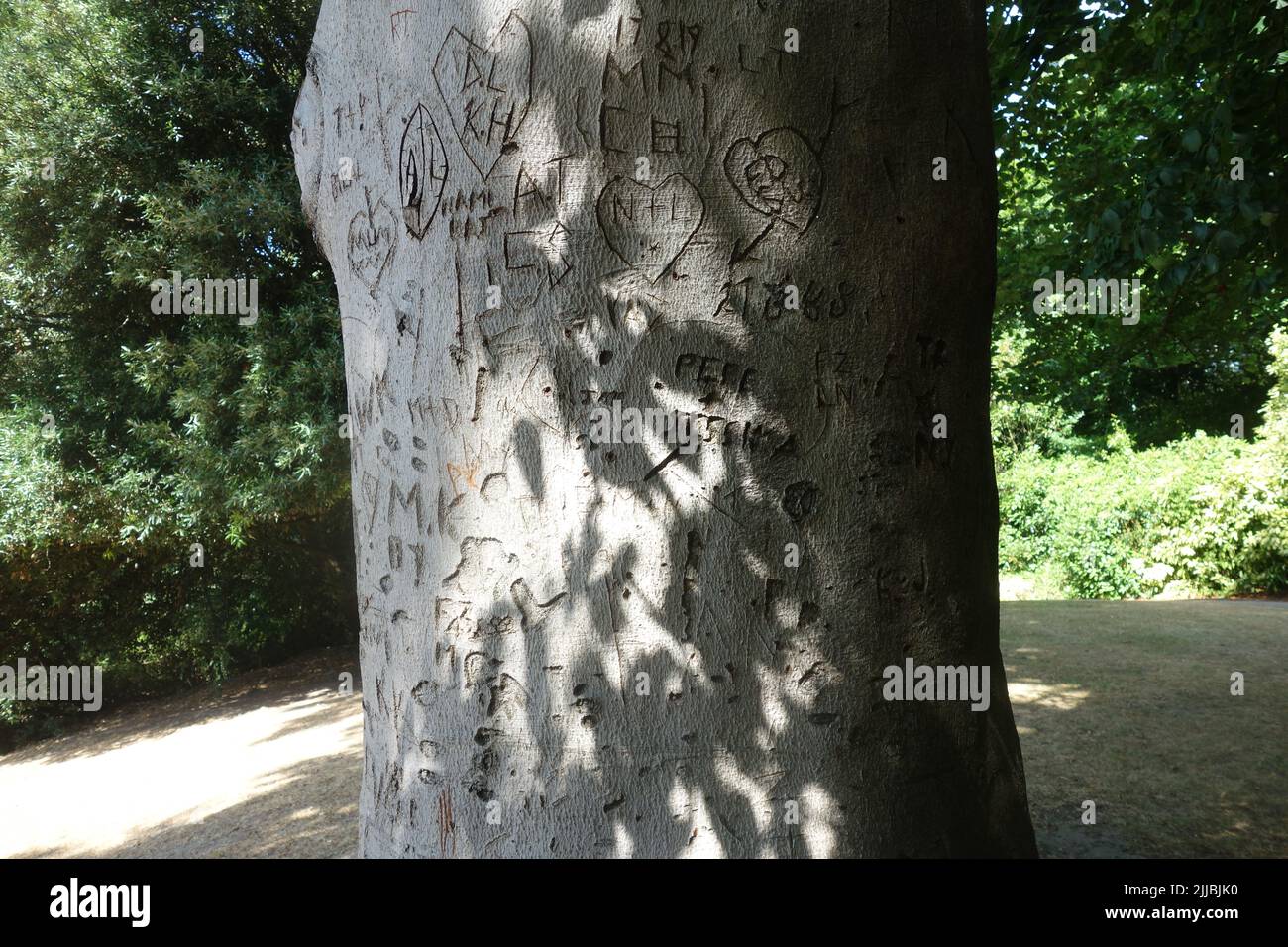 Sculptures, tronc d'arbre, Golders Hill Park, Londres, Royaume-Uni Banque D'Images