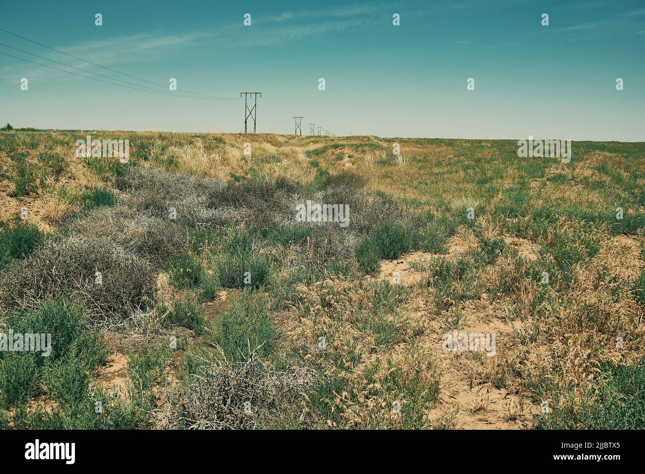 Zone désertée de la steppe. République de Kalmykia, Russie Banque D'Images