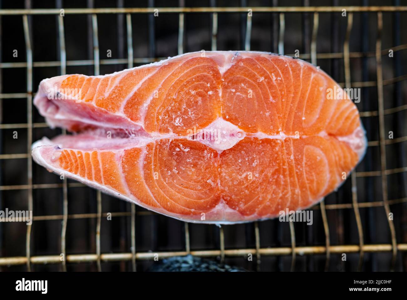 Gros plan de steak de saumon frais préparé pour griller avec des grains de sel dessus, repose sur le filet de gril Banque D'Images