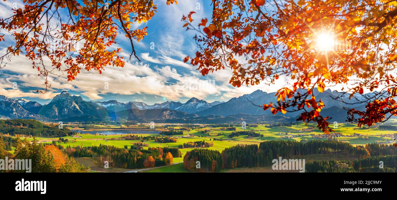 paysage panoramique à l'automne avec arbre et montagne Banque D'Images