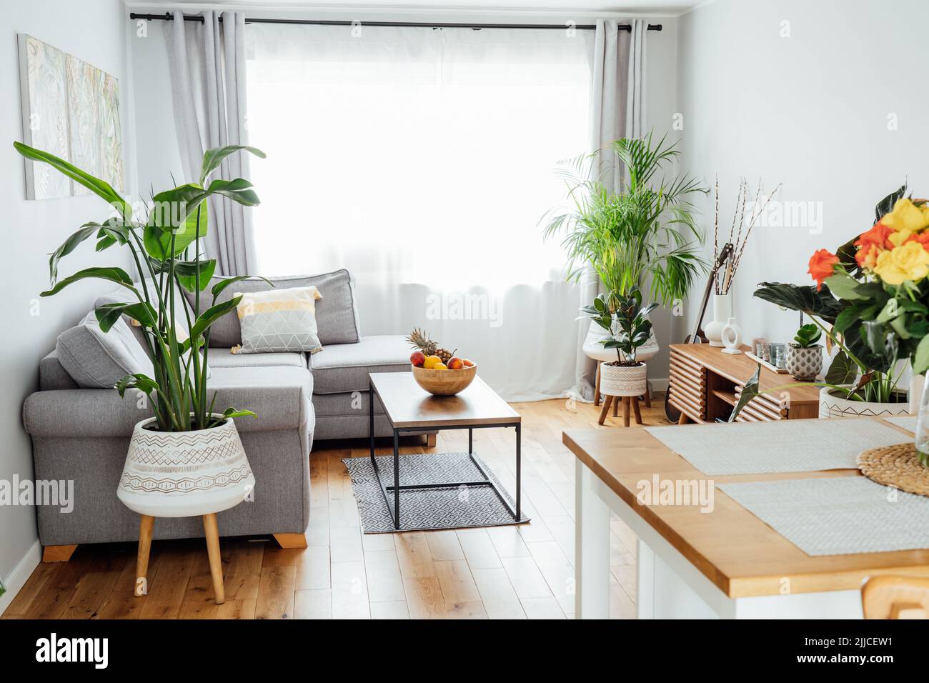 Intérieur scandinave élégant et moderne d'espace ouvert séjour avec bol en bambou avec fruits sur la table basse, canapé-lit gris, coussins et homme Banque D'Images Intérieur scandinave élégant et moderne d'espace ouvert séjour avec bol en bambou avec fruits sur la table basse, canapé-lit gris, coussins et homme Banque D'Images