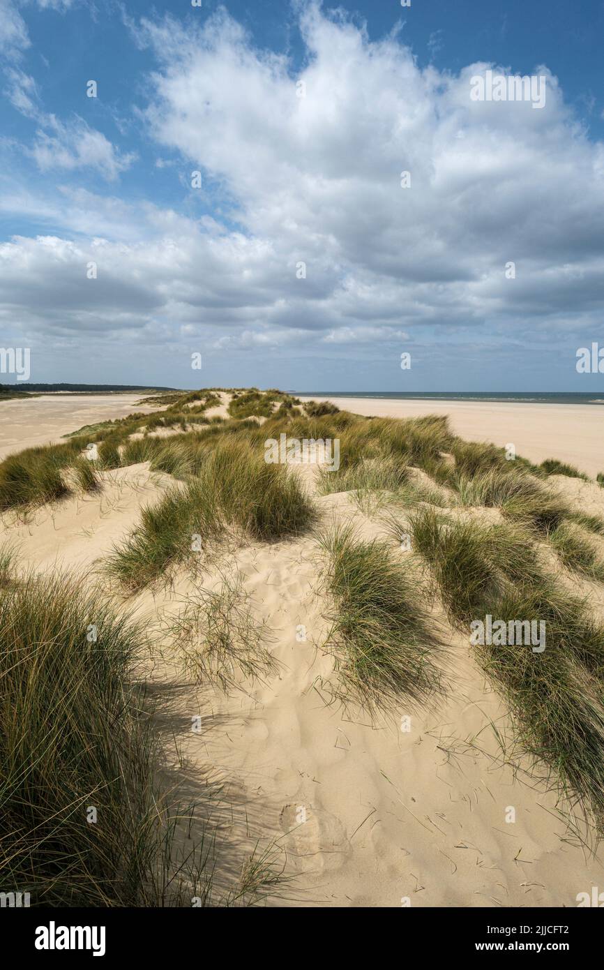 Dunes de sable sur Holkham Beach, Norfolk Banque D'Images