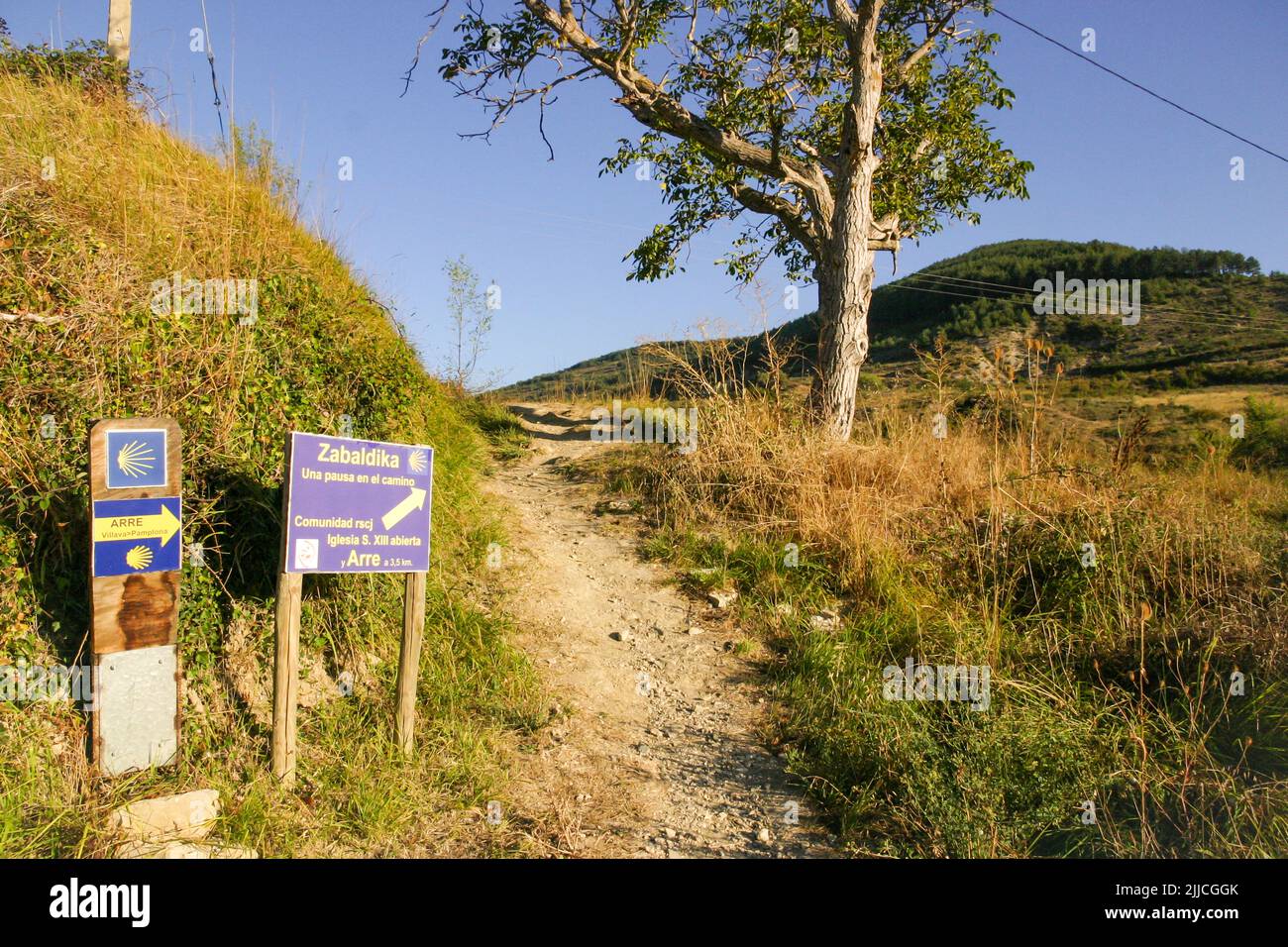 Marquage de chemin à côté d'un sentier appartenant à la voie Saint-James au pied du col Ibaneta Banque D'Images