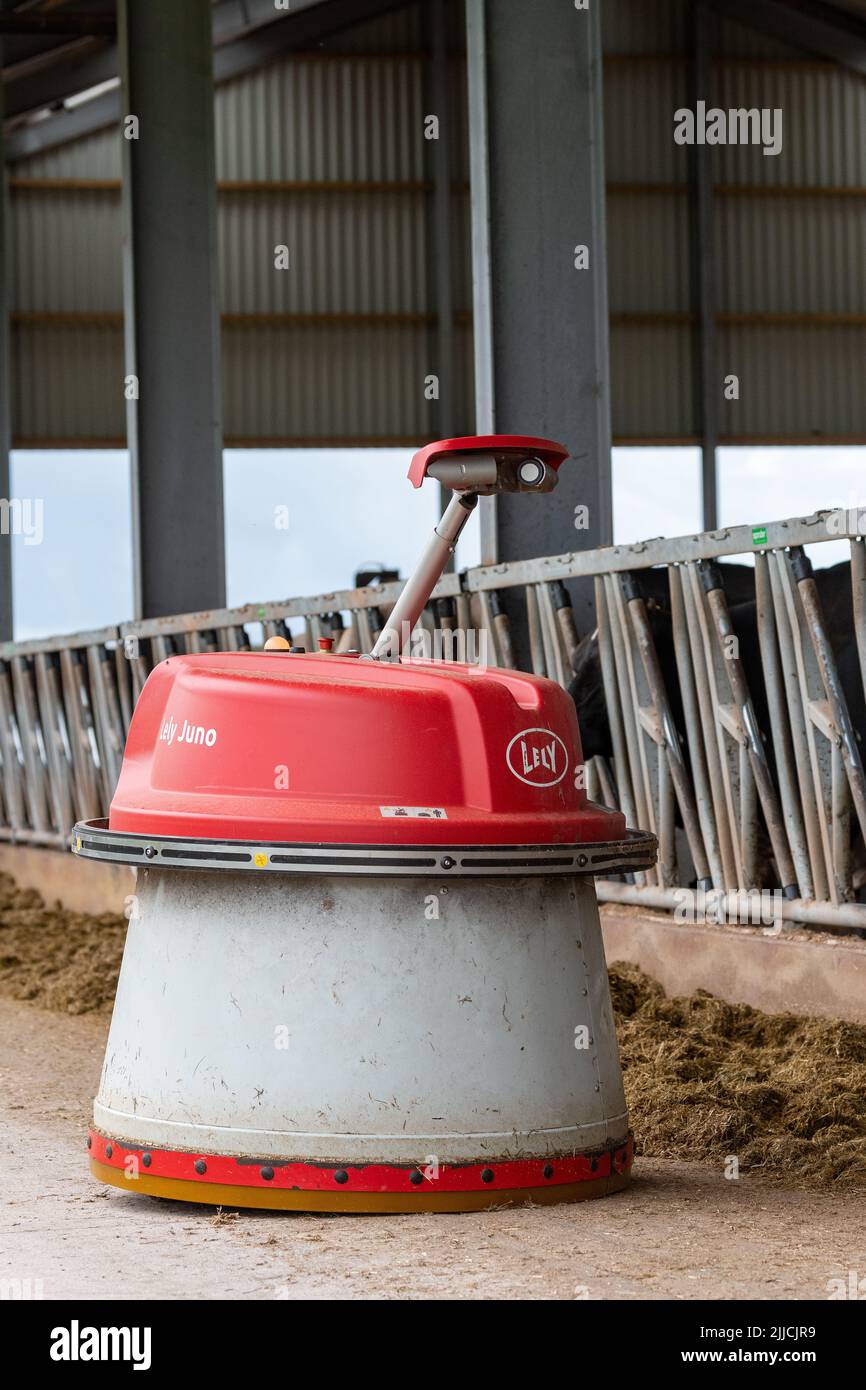 Lely Juno, un robot conçu pour pousser l'ensilage devant le bétail lorsqu'il se nourrit. Dumfries, Royaume-Uni. Banque D'Images