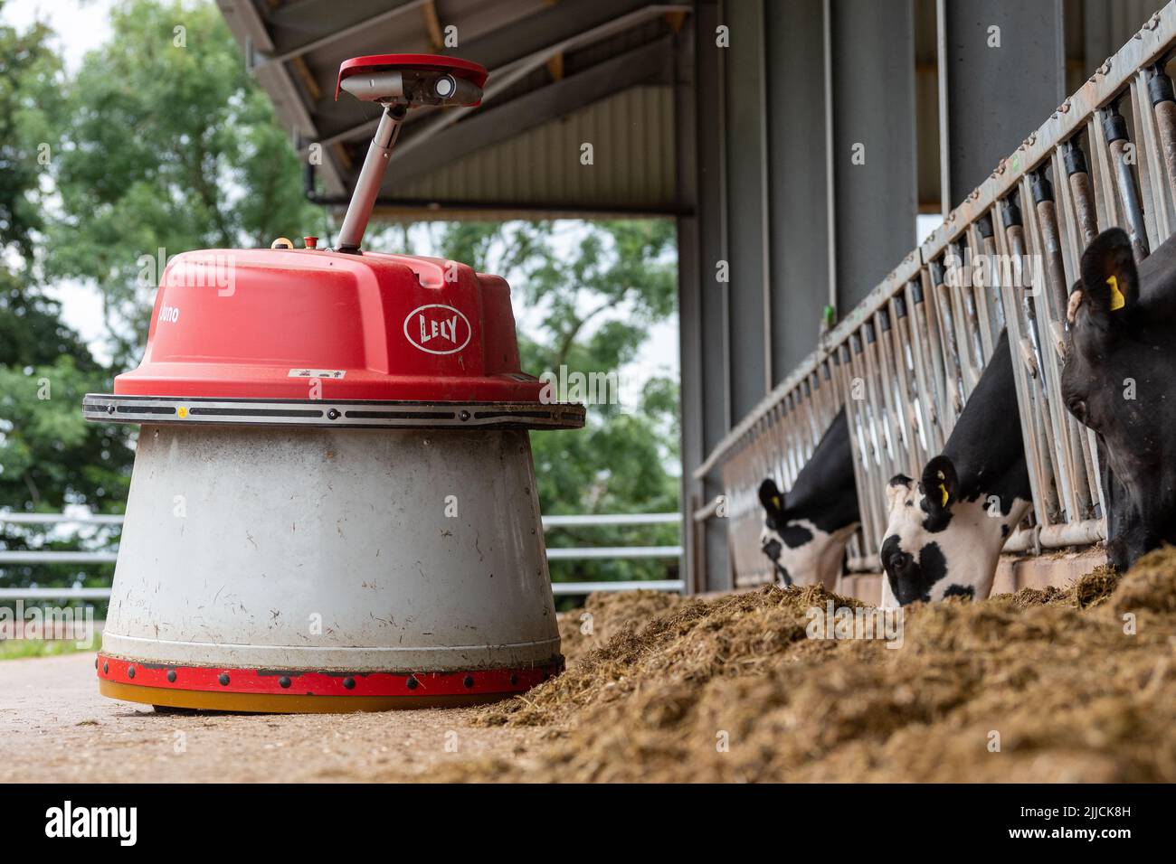 Lely Juno, un robot conçu pour pousser l'ensilage devant le bétail lorsqu'il se nourrit. Dumfries, Royaume-Uni. Banque D'Images