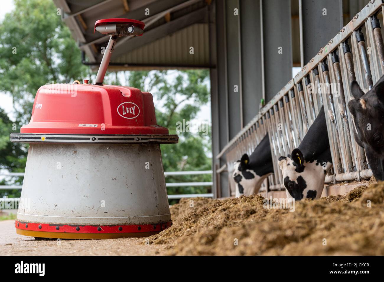 Lely Juno, un robot conçu pour pousser l'ensilage devant le bétail lorsqu'il se nourrit. Dumfries, Royaume-Uni. Banque D'Images