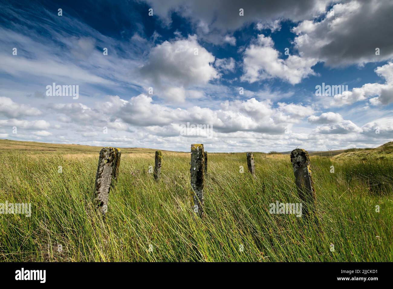 Des poteaux de clôture de sécurité en béton dans un cercle sur les landes du Denbighshire au nord du pays de Galles entre Llyn Aled isaf et Llyn Aled Banque D'Images