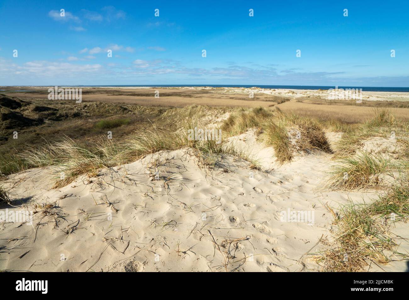 Dunes de sable sur l'île de Rømø au Danemark Banque D'Images