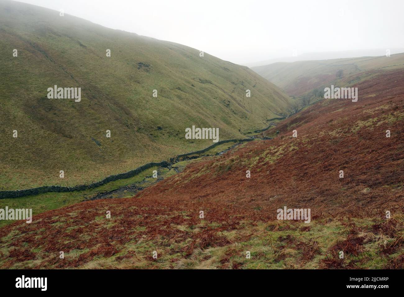 En descendant la vallée jusqu'à Dowber Gill Beck, du chemin vers « Hag Dyke », près de Kettlewell, Wharfedale, Yorkshire Dales National Park, Angleterre, Royaume-Uni. Banque D'Images