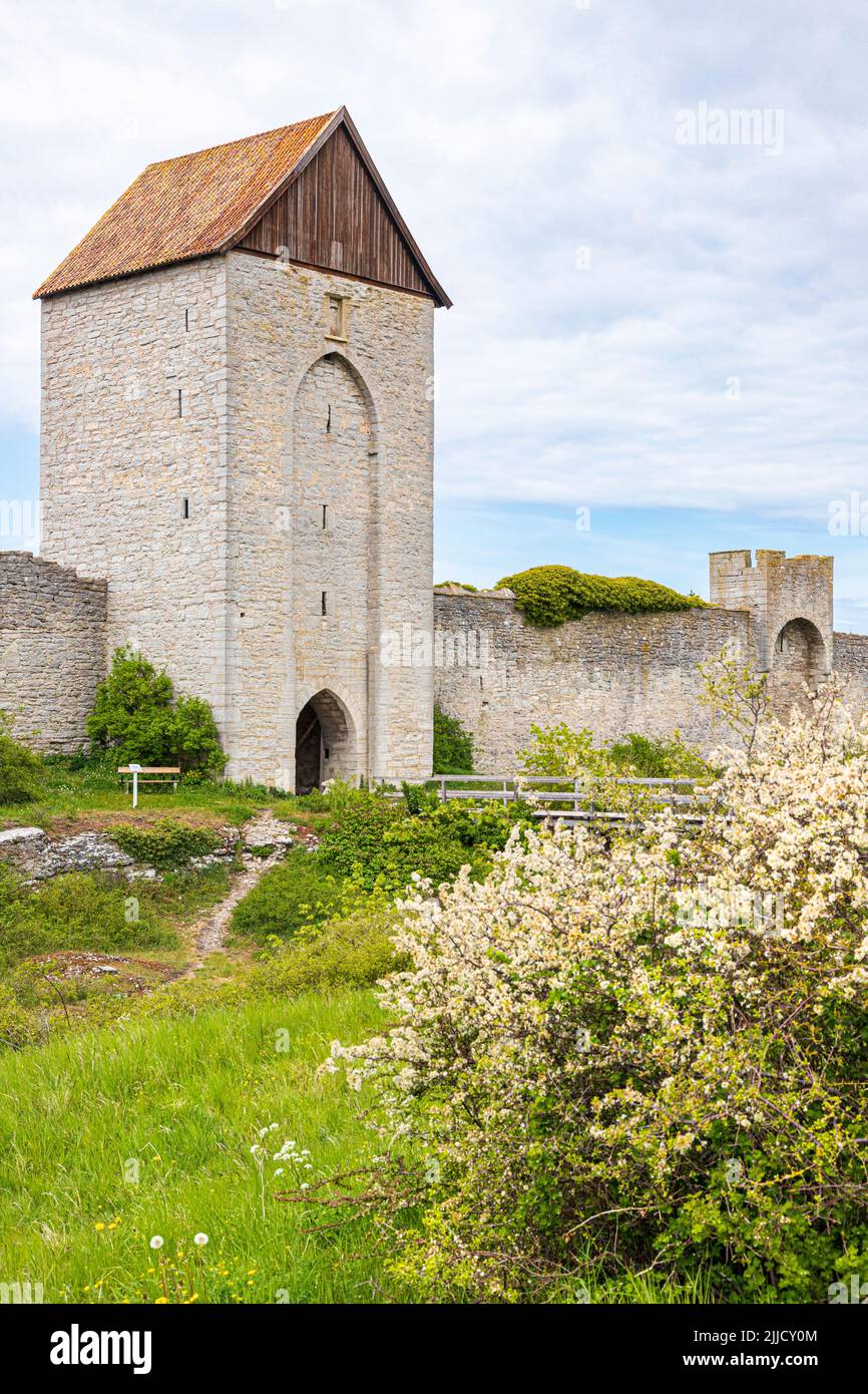 Mur de la ville de Visby (mur de l'anneau de Visby) autour de la ville médiévale de Visby, sur l'île de Gotland, dans la mer Baltique au large de la Suède Banque D'Images