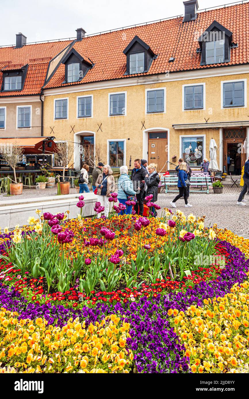 Fleurs sur la Grande place (Stora Torget) dans la ville médiévale de Visby, sur l'île de Gotland, dans la mer Baltique au large de la Suède Banque D'Images