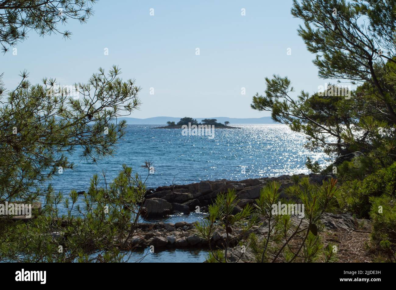 Paradis caché tranquille dans l'archipel de Dalmatie, vacances d'été en Croatie, vue à travers les pins Banque D'Images
