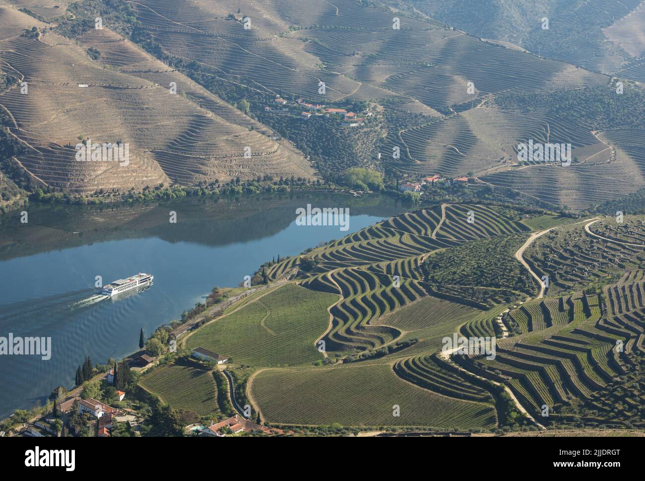 Bateau de croisière dans le fleuve Douro et les vignobles de l'Alto Douro - Patrimoine mondial de l'UNESCO Banque D'Images